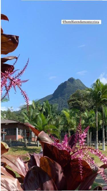 Hotel Fazenda Monte Crista Rio Bonito Kültér fotó